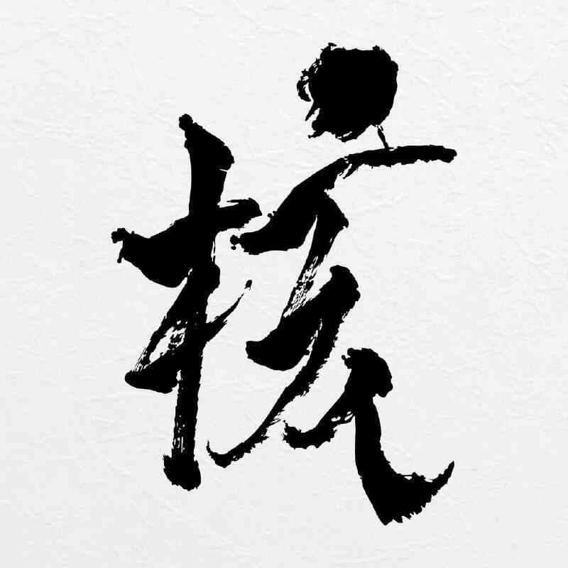 [日本]音乐《XG THE CORE - 核》ALAC Hi-Res 24bit 2026-01-23