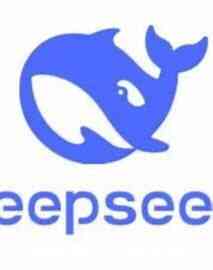 [教程]汽水音乐+DeepSeek玩法解析 [夸克网盘]